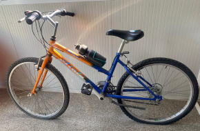 Bicicletta