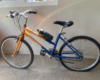 Bicicletta