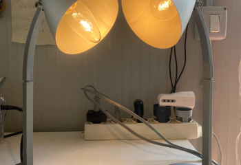 Set di lampade da tavolo