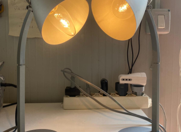 Set di lampade da tavolo