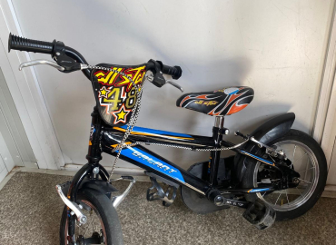 Bicicletta per bimbi